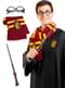 Kit αξεσουάρ Harry Potter για ενήλικες
