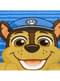 Paw Patrol Poncho Towel