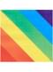 20 serviettes arc-en-ciel (33x33cm)