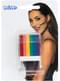 6 in 1 Rainbow Flag Make-Up Stick