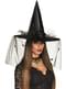 Witches’ Hat with Veil and Spiders