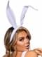 White Velvet Rabbit Ears
