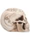 Astronomy Skeleton Figurine