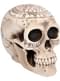 Astronomy Skeleton Figurine