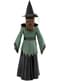 Costume da strega deluxe per bambina