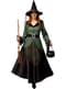 Deluxe Witch costume for women
