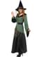 Deluxe Witch costume for women