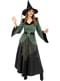 Deluxe Witch costume for women
