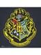 Hogwarts zastava - Harry Potter
