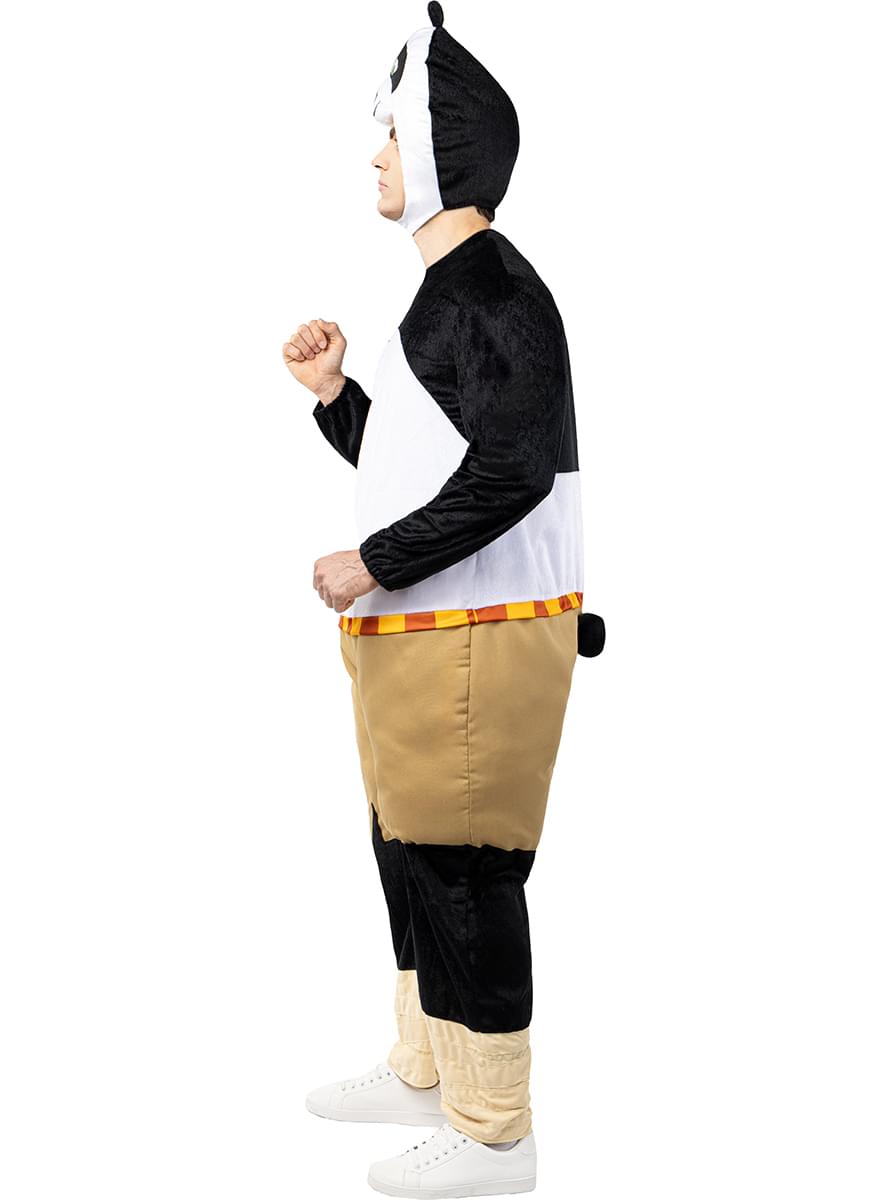Kung Fu Panda costume for adults