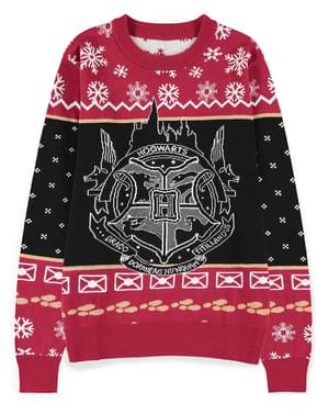 Pull de Noël Poudlard pour homme - Harry Potter