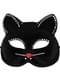 Kattens maske