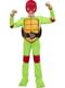 Raphael costume for kids - Teenage Mutant Ninja Turtles