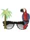 Lunettes Tropicales adulte