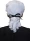 Baroque period wig for men