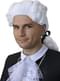 Baroque period wig for men