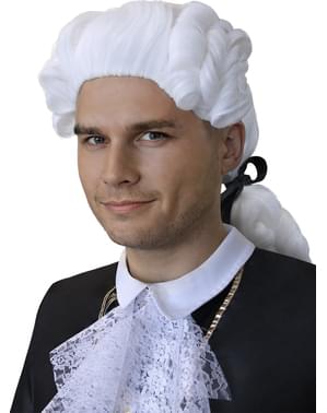 Baroque era wig for men