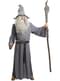 Fato de Gandalf com peruca para homem - O Senhor dos Anéis