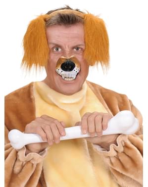 Досить дорослий собачий ніс