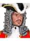 Baroque wig for men