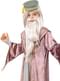 Dumbledore Harry Potter kostume til børn