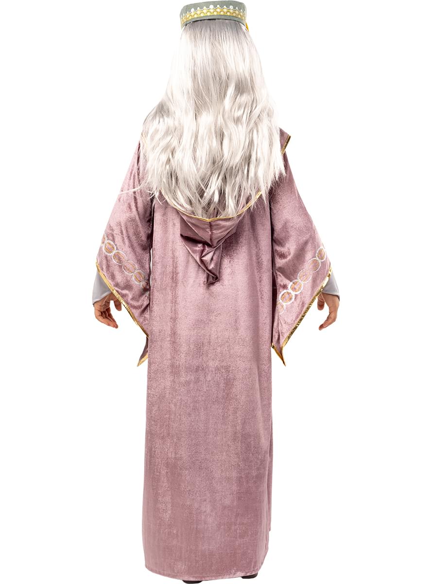 Dumbledore Harry Potter kostym för barn