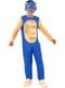 Sonic jelmez gyerekeknek