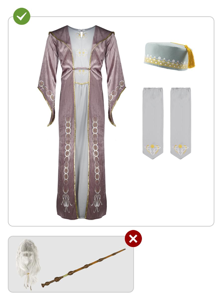 Dumbledore Harry Potter Costume