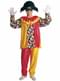 Man's Multi-coloured Harlequin Costume