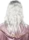 Dumbledore Wig and Beard - Harry Potter