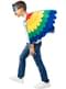 Bird Wings Costume for Child