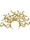 Medusa diadema