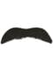 Classic Moustache