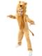 Lion Costume for Kids