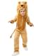Lion Costume for Kids