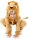Lion Costume for Kids