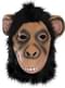 Masque de chimpanzé
