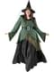 Delux Witch Costume for Women Plus Size