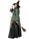 Deluxe witch costume for women plus size