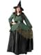 Delux Witch Costume for Women Plus Size