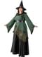 Delux Witch Costume for Women Plus Size