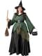 Delux Witch Costume for Women Plus Size