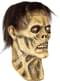 Maschera zombie di Lord Frank