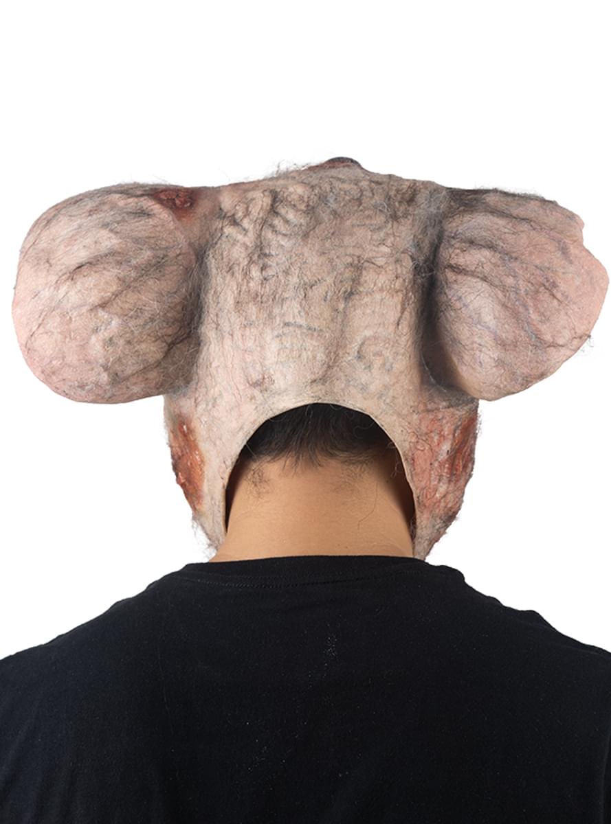 Laboratory rat mask