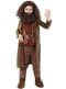 Fantasia de Hagrid para menino - Harry Potter