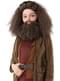 Fantasia de Hagrid para menino - Harry Potter