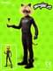 Cat Noir kostuum met accessoires voor kinderen - Ladybug