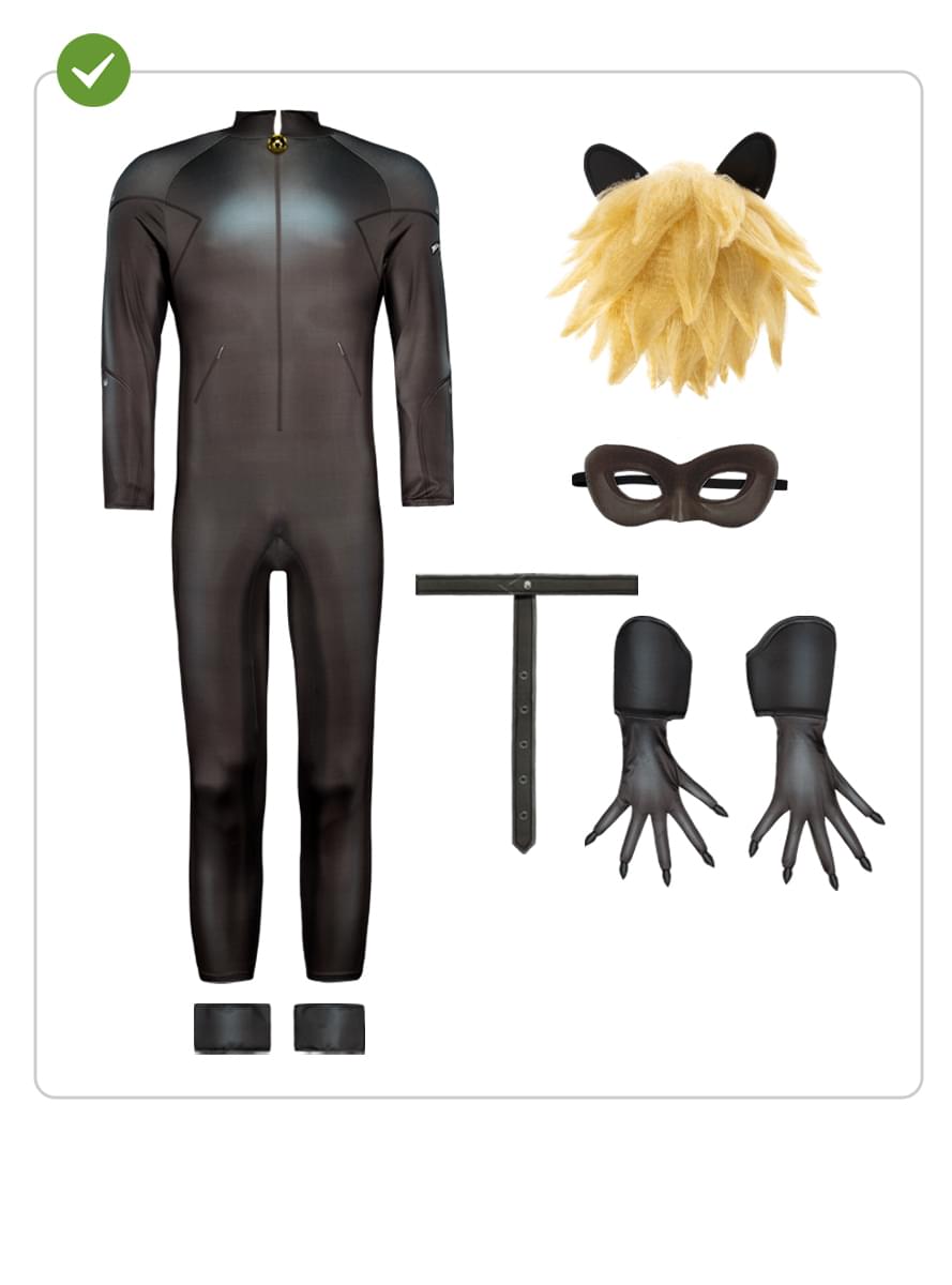 Cat Noir kostuum voor mannen - Ladybug