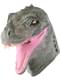 Dinosaur Mask