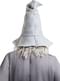 Gandalf pruik met baard - Lord of the Rings